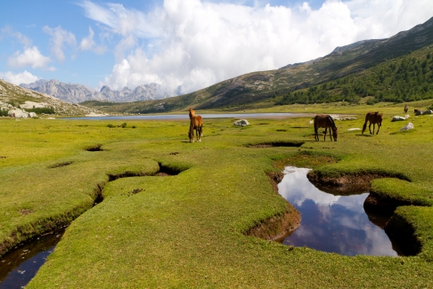 Le lac de Nino et ses pozzi
