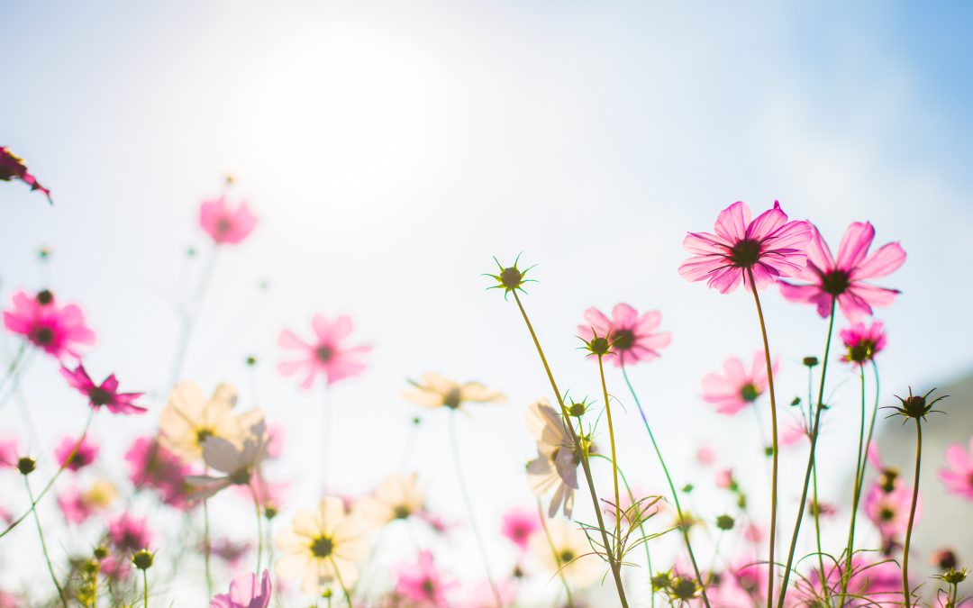Le printemps, une saison riche en découverte