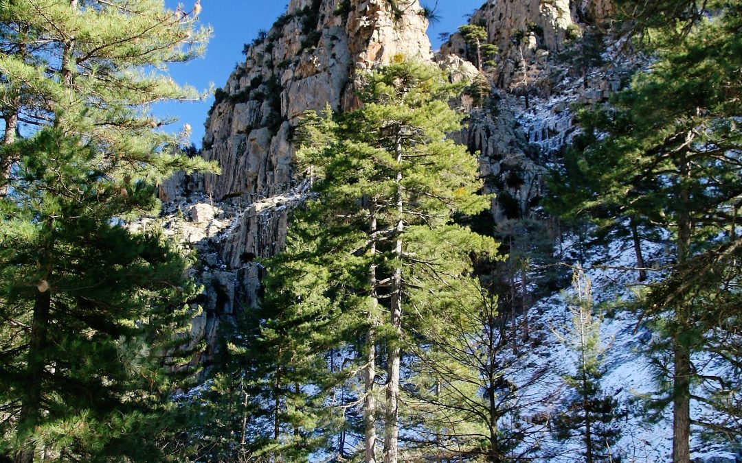 Top 5 des activités à faire en Corse cet hiver