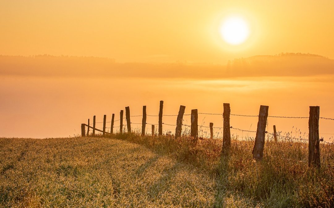 5 spots pour admirer un coucher de soleil en Corse