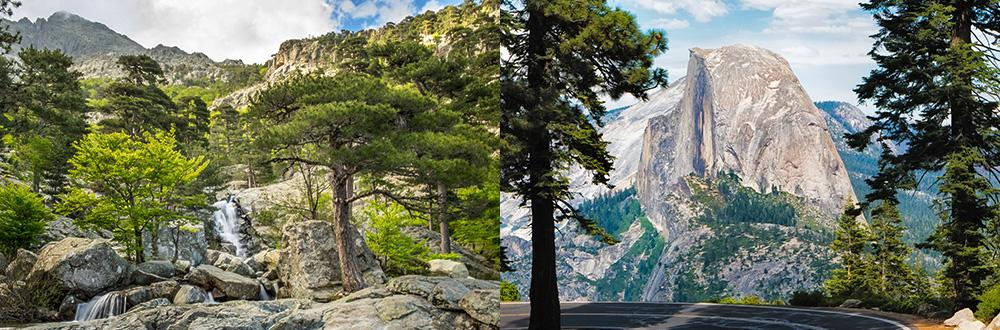Faites le tour du monde sans quitter la Corse