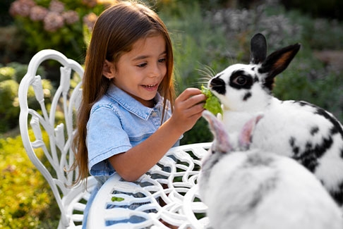 Top 5 des activités à faire en famille en Corse