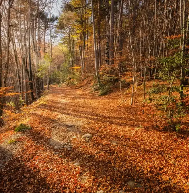 Et si vous découvriez la Corse au travers de ses couleurs ?